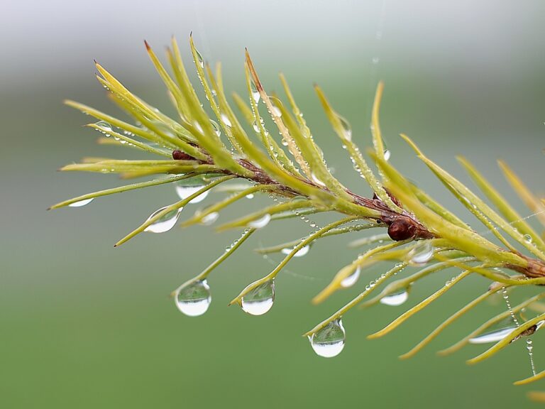 warsztat"TASTE GESTALT"