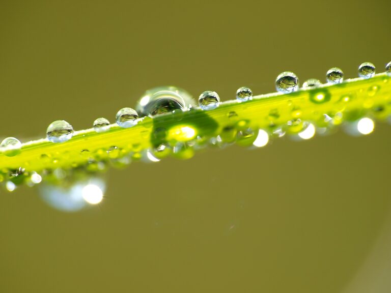 Szkoła Psychoterapeutów ITEG Edycja 15