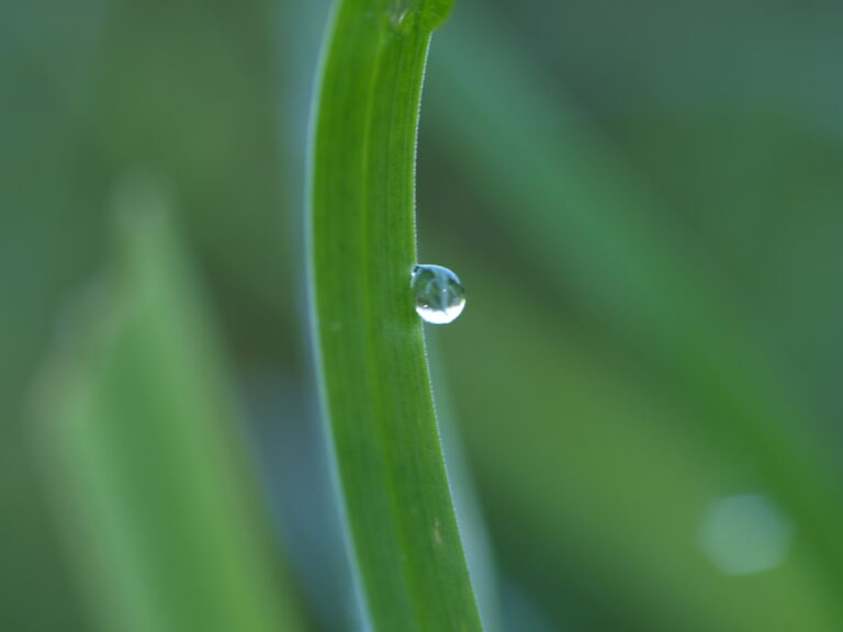 Warsztat ŚWIADOMOŚĆ