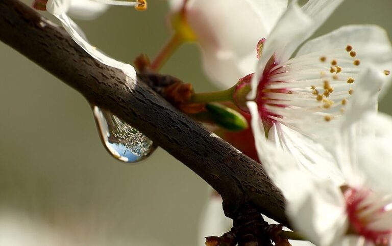 ŚWIADOMOŚĆ- warsztat