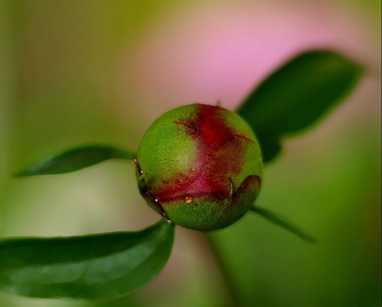 Szkoła Psychoterapeutów ITEG edycja 15